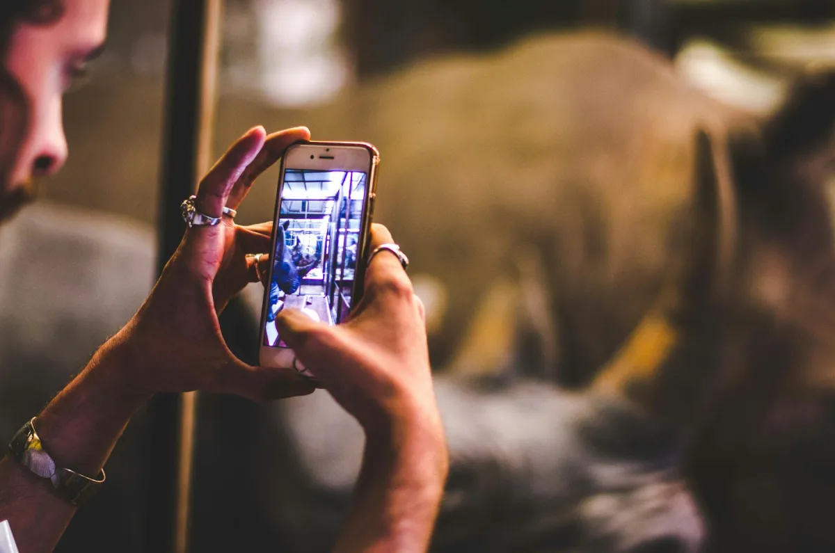 A person holds an iPhone to photograph a rhinoceros display inside a museum.