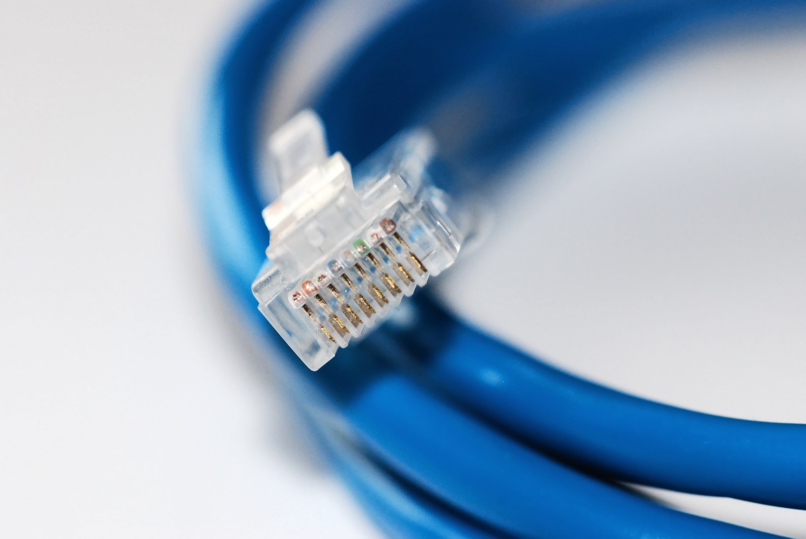 Close-up of a clear Ethernet plug on a blue cable, with its retaining latch and contact row visible.